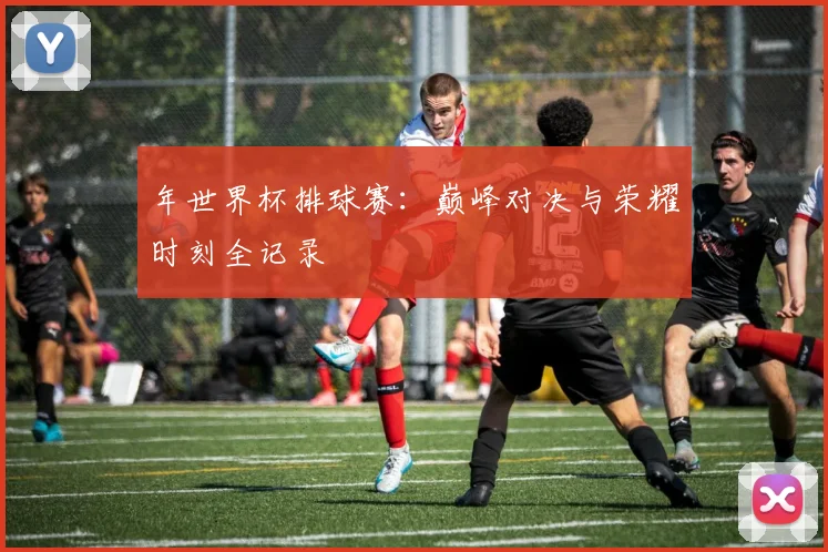 年世界杯排球赛:巅峰对决与荣耀时刻全记录