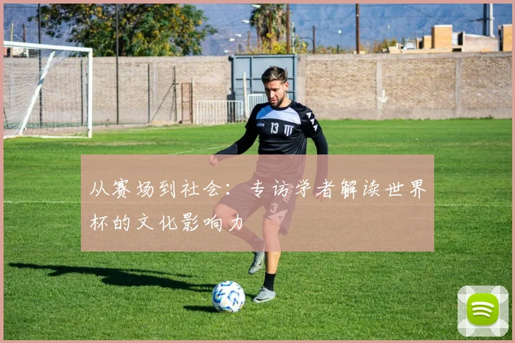 从赛场到社会:专访学者解读世界杯的文化影响力
