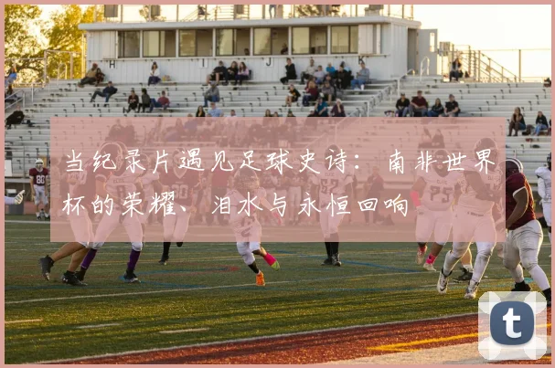 当纪录片遇见足球史诗：南非世界杯的荣耀、泪水与永恒回响
